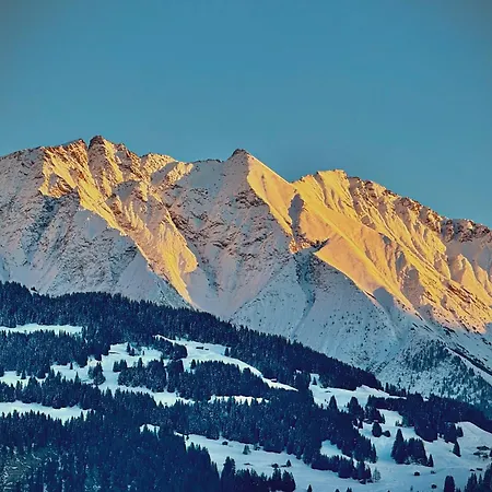 Lägenhet Gemuetliche In Ladir Bei Flims Laax *